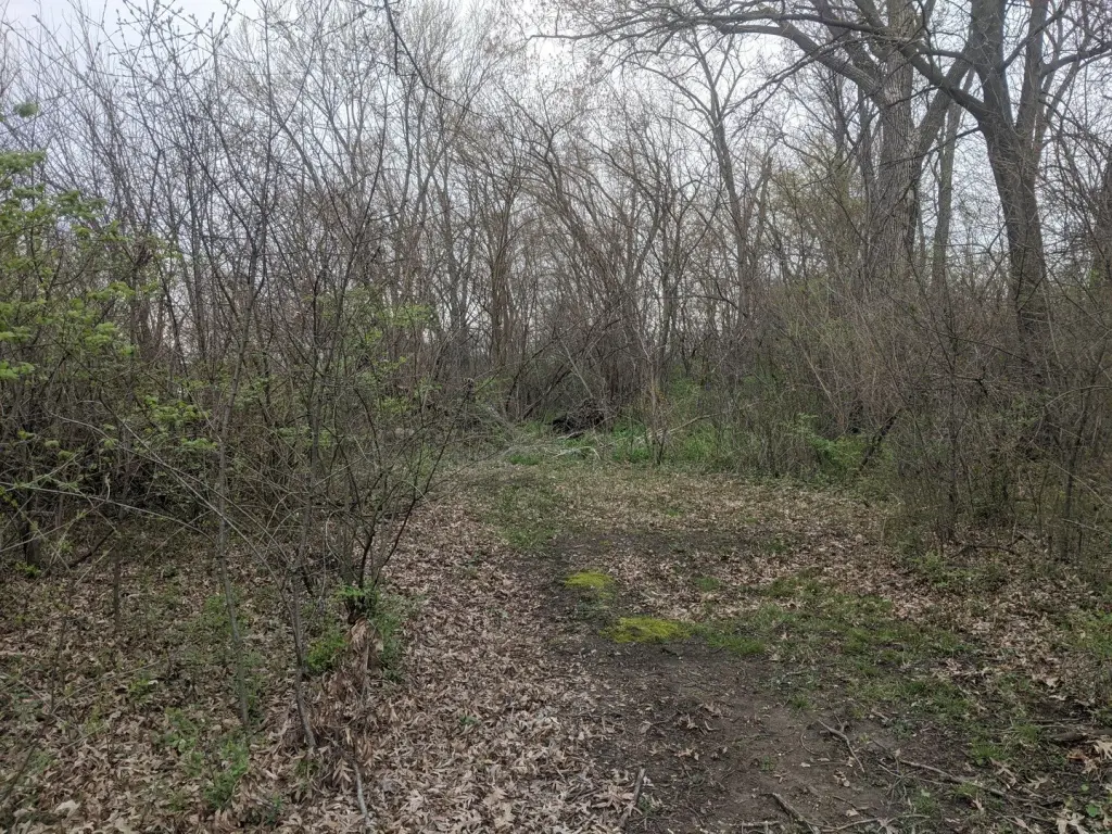 Picture 8