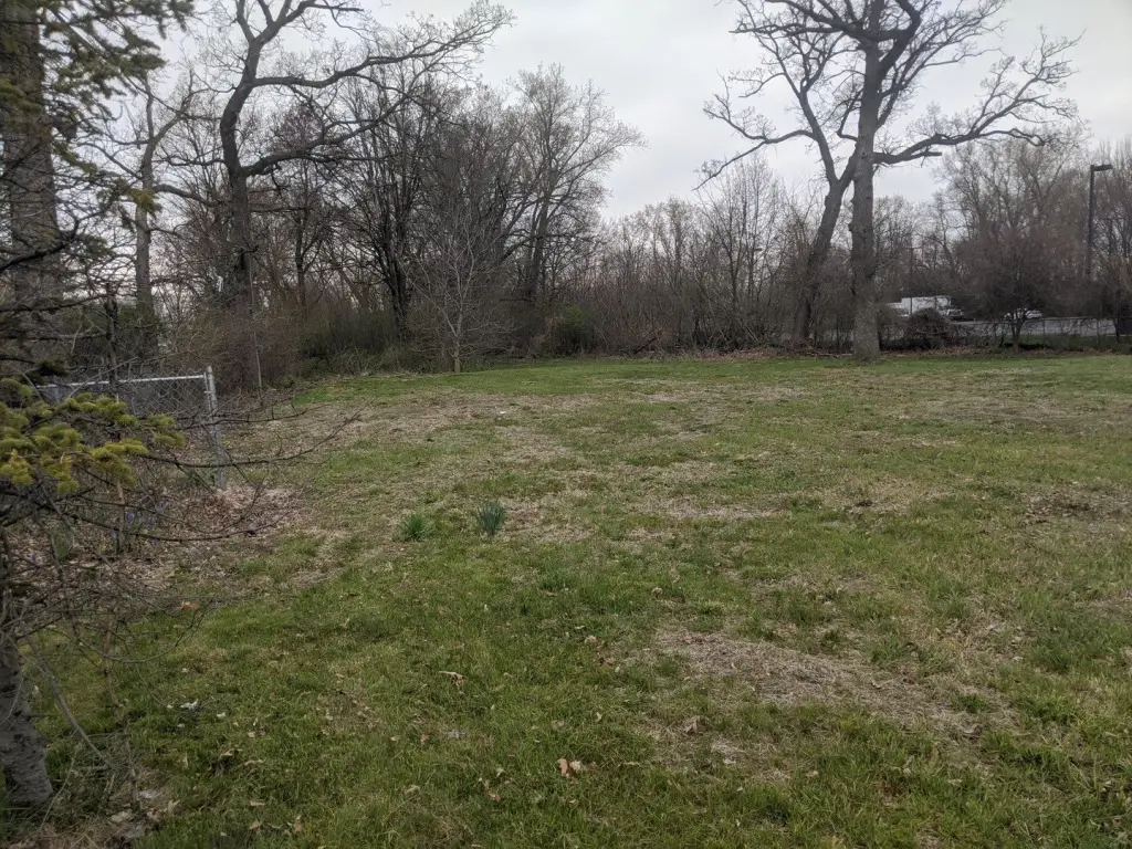 Picture 12