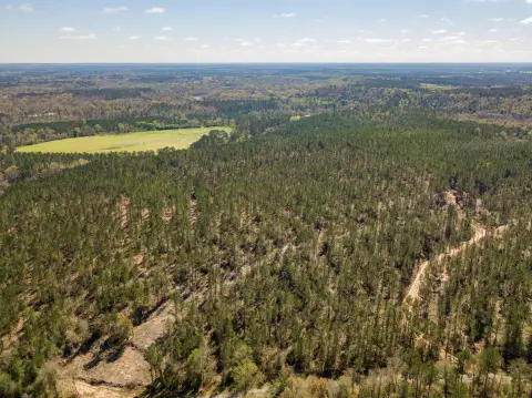 Unrestricted Land