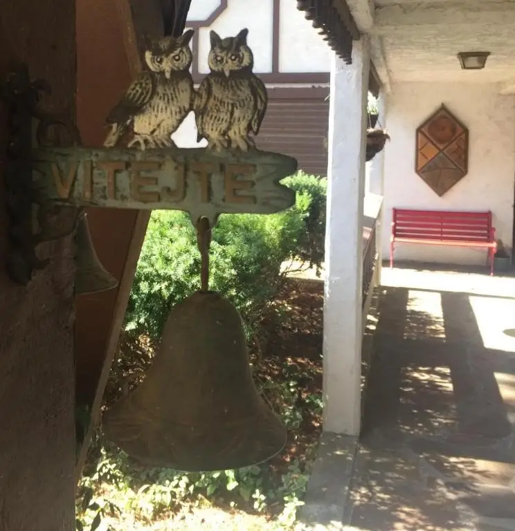 Picture 29