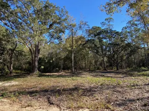 Residential Land Near St. Joseph Bay