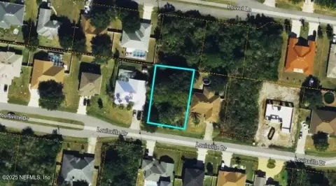 Palm Coast Land For Sale