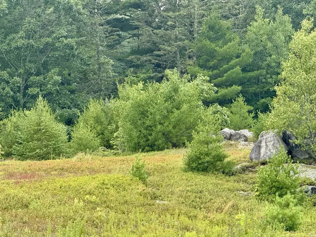 Picture 5