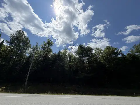Wooded Residential Land Parcel