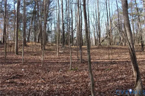 Wooded Acre Lot in Lanexa