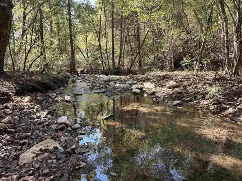 Ozark Mountain Recreational and Hunting Land
