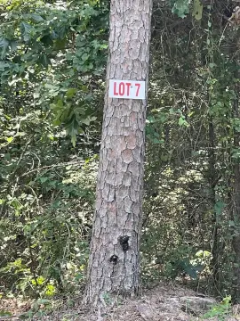 Residential Lot in Greers Ferry