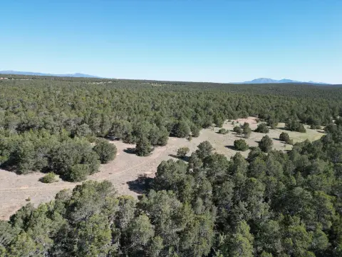 10 Acres in Edgewood, NM