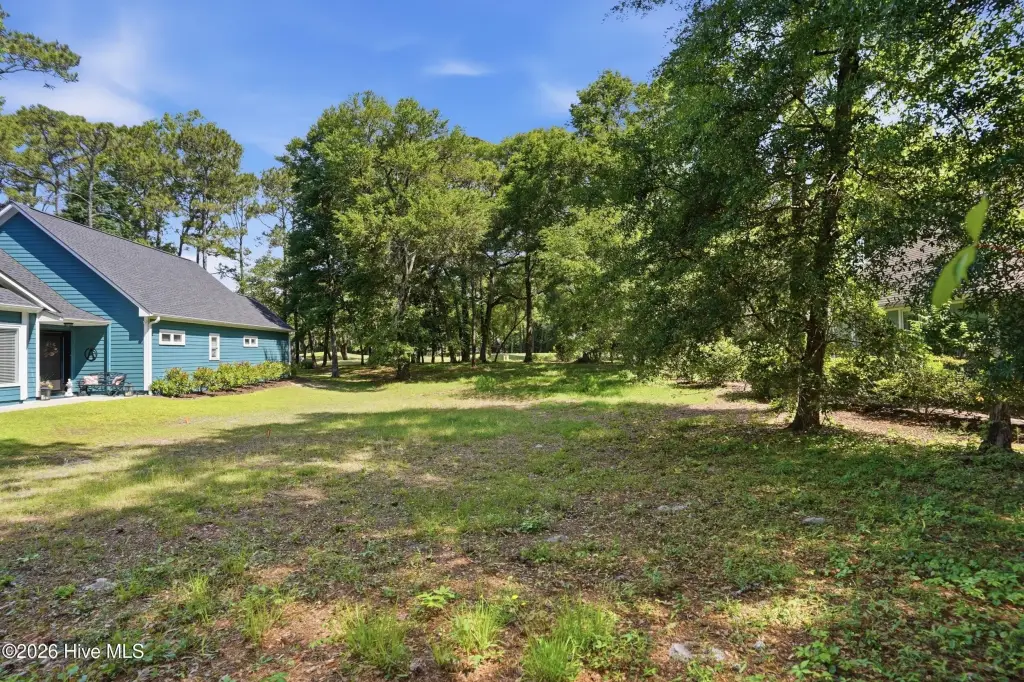 Picture 4