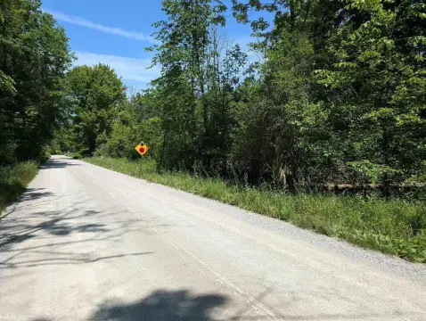Residential Land in Goodells, MI