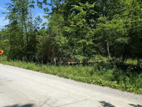 Residential Land in Goodells, MI