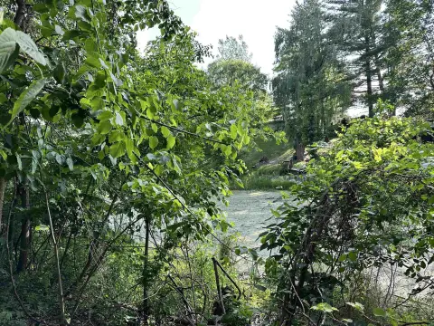 Wixom Lake Island Opportunity