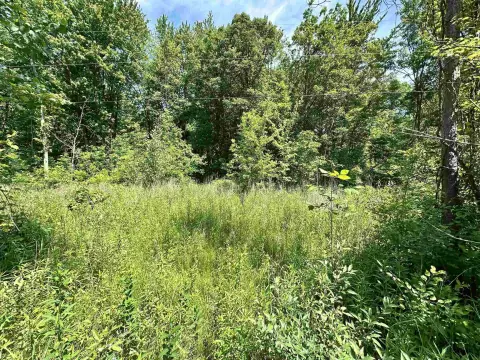 Vacant Land in Beaverton, MI
