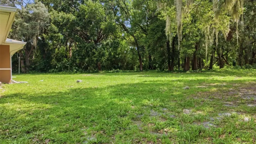 Picture 34