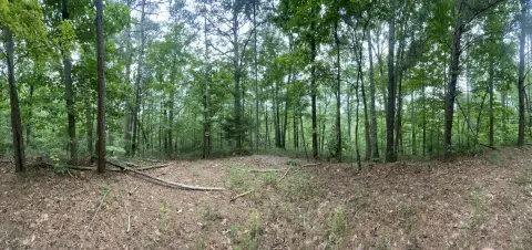 Ranger, GA Secluded Lot