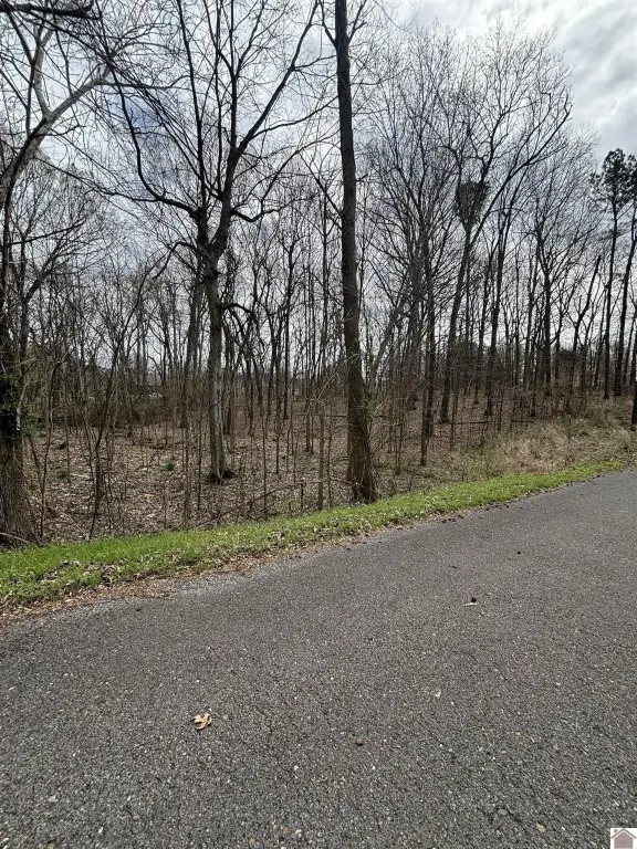 Picture 6