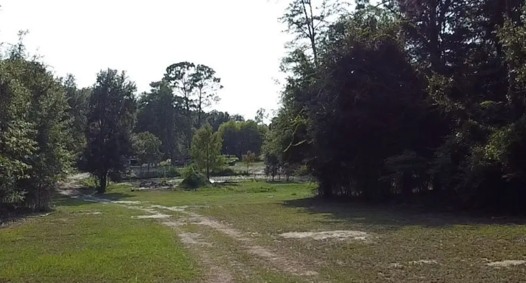 Picture 23