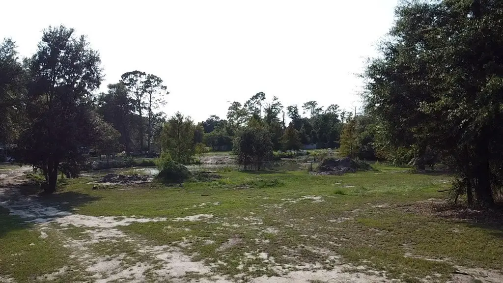 Picture 20