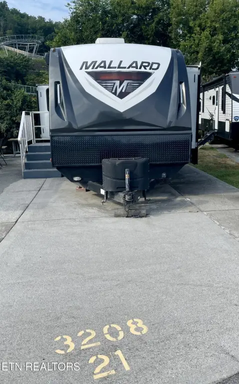 Picture 21