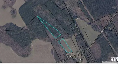 Undeveloped Land Near Lake Marion