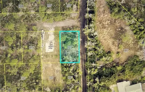 Vacant Lot in Pineland Area