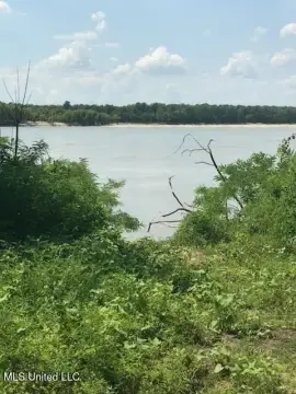 Mississippi Riverfront Land Available