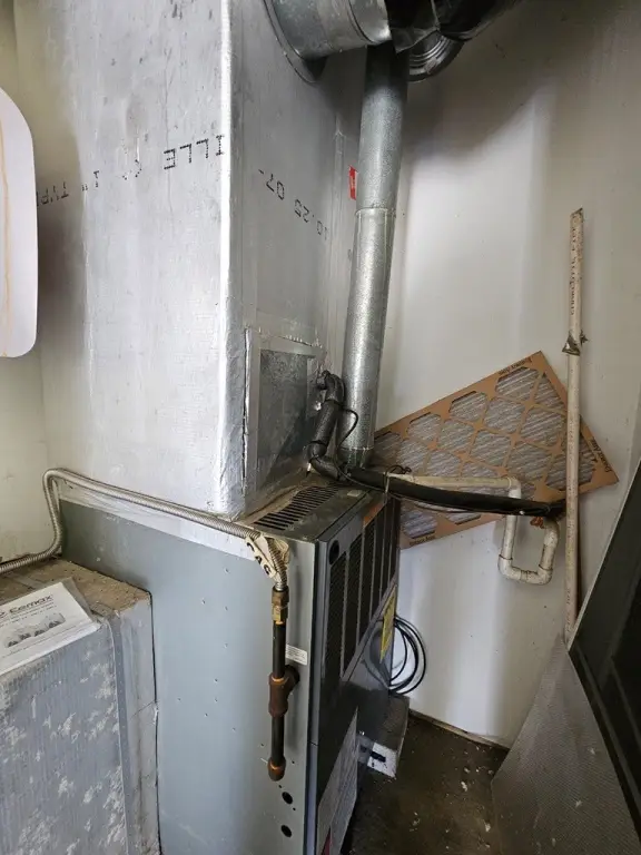 Picture 6