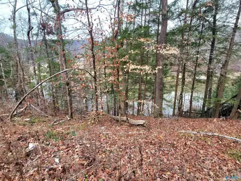 Unrestricted Waterfront Lot on Smith Lake