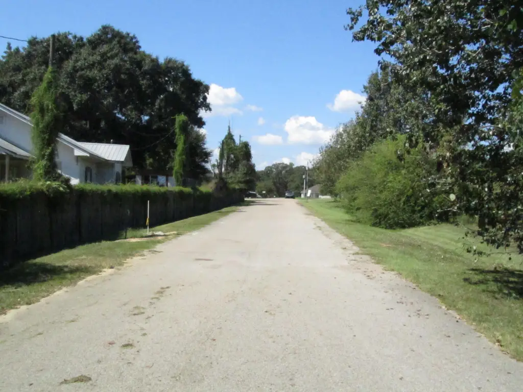 Picture 9