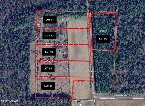 Land Parcel in Baker, Florida