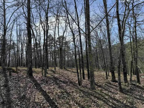 Tranquil 4.57 Acre Residential Lot