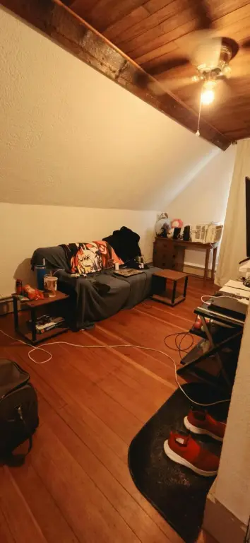 Picture 28