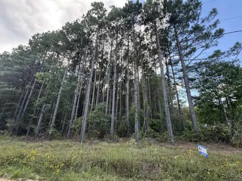 Residential Lot in Pine Bluff