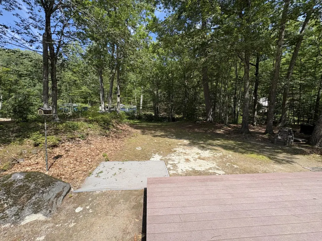 Picture 20
