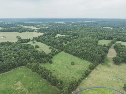Fenced Agricultural Land