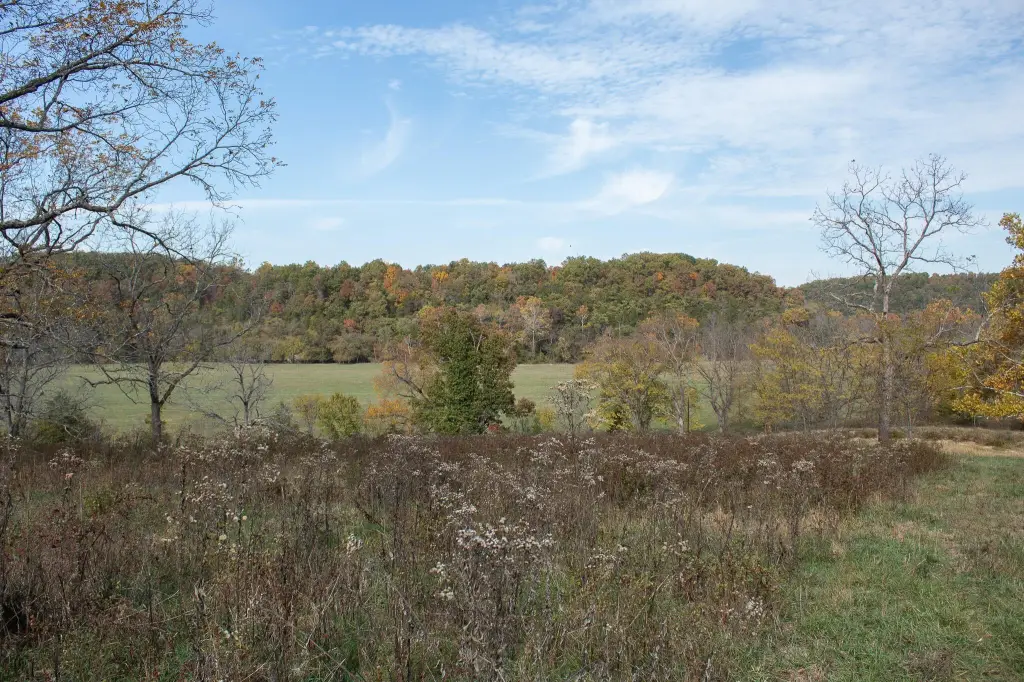 Picture 40