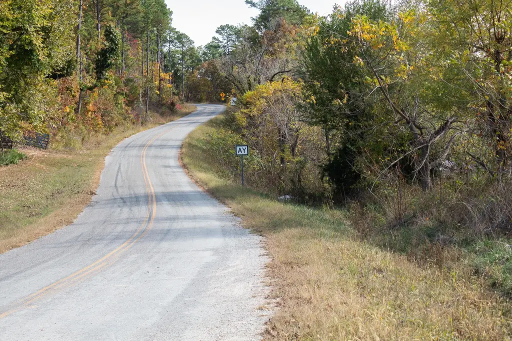 Picture 45