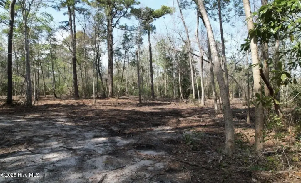 Picture 2