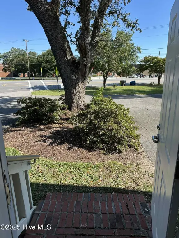 Picture 24