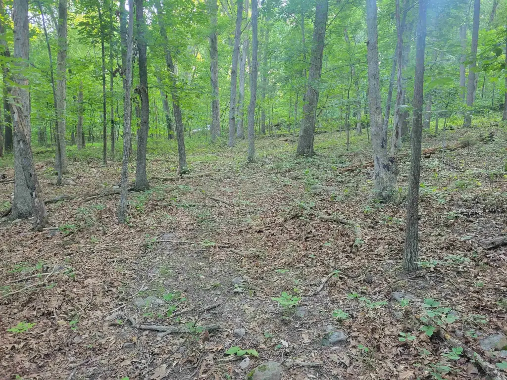 Picture 4