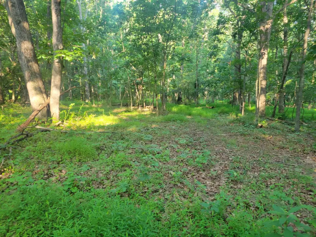 Picture 6