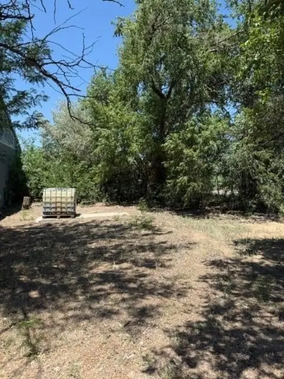 Picture 17