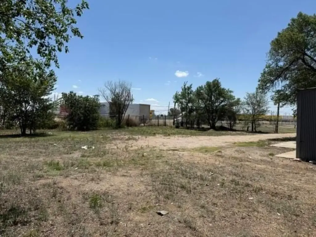 Picture 19