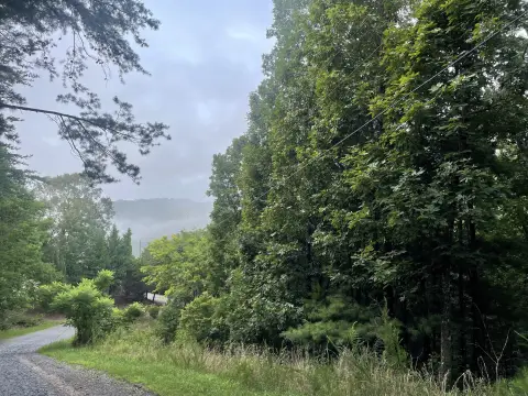 Ranger, GA Secluded Lot