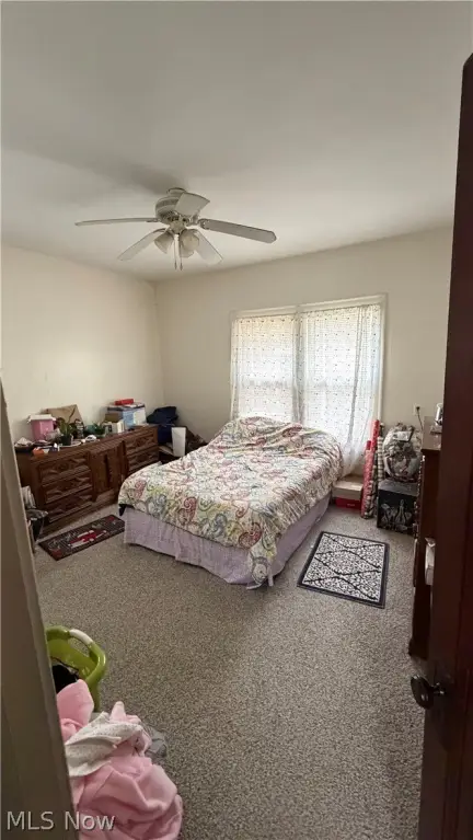 Picture 9