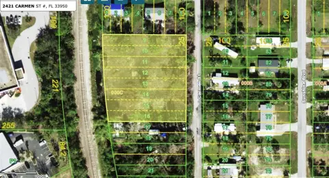 Punta Gorda Land For Sale