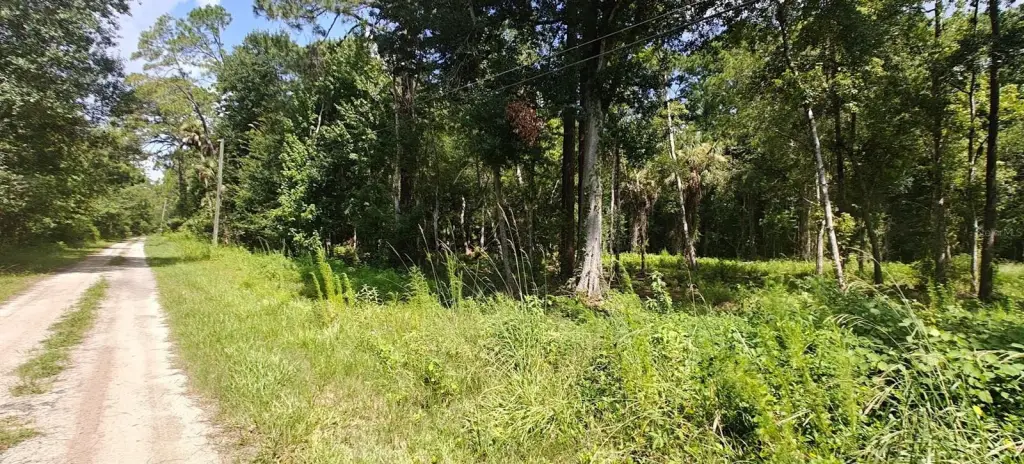 Picture 5