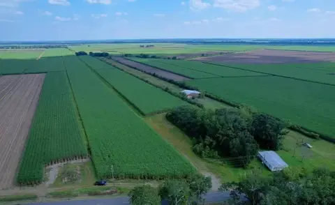 Franklin, LA Vacant Land