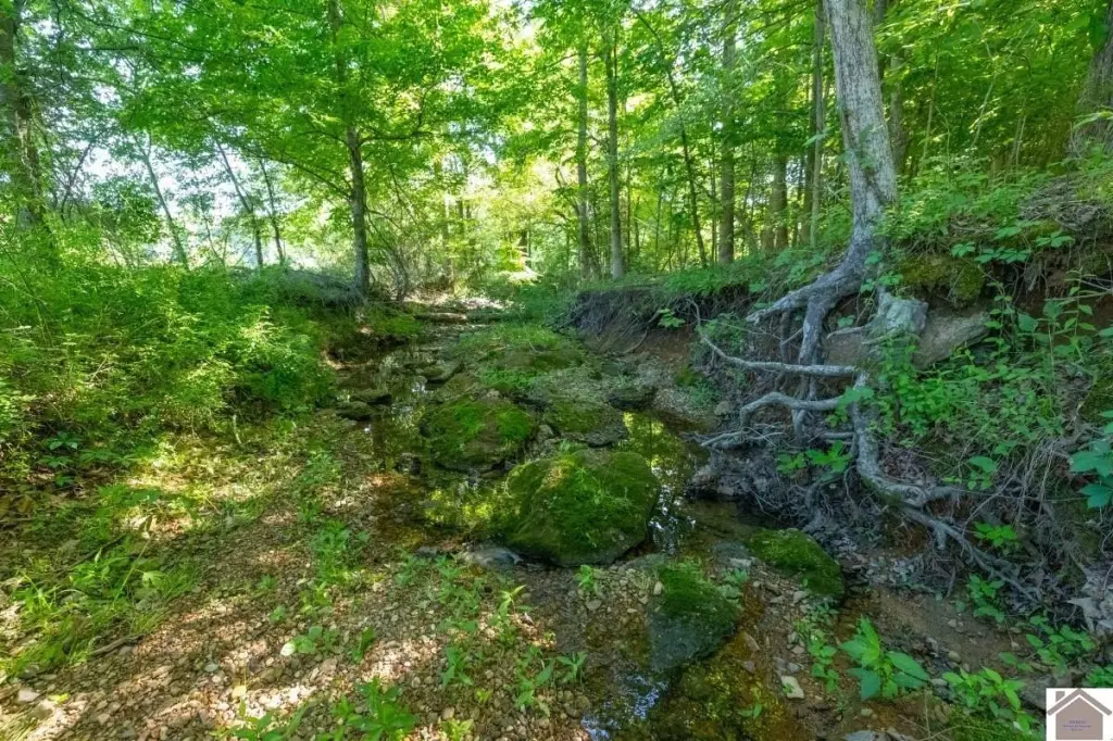 Picture 29