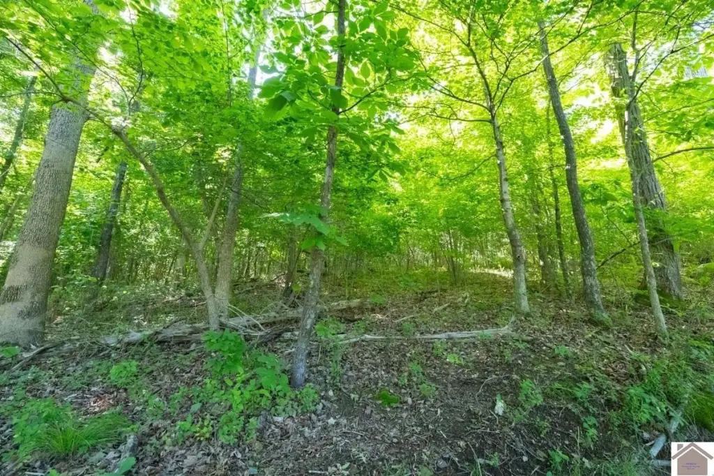 Picture 28